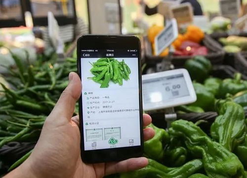 為什么要農(nóng)產(chǎn)品溯源？一文為你解答智能農(nóng)業(yè)管理