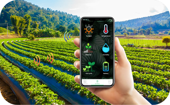 數(shù)字化鄉(xiāng)村智能管理 引領(lǐng)農(nóng)業(yè)革命，助推農(nóng)民增產(chǎn)致富