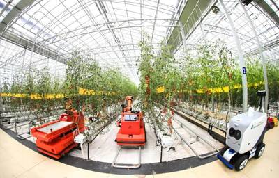 點(diǎn)點(diǎn)手機(jī)就能管理大棚，濰坊壽光以數(shù)字化賦能蔬菜產(chǎn)業(yè)升級(jí)