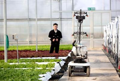 “農(nóng)智云”為廣陳美麗城鎮(zhèn)建設(shè)插上“數(shù)字”翅膀